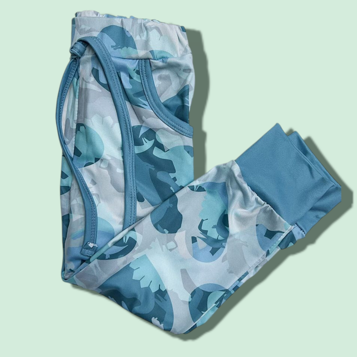 Dinosaur Joggers